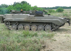 Csapatépítő élmény program, Tankvezetés BMP1